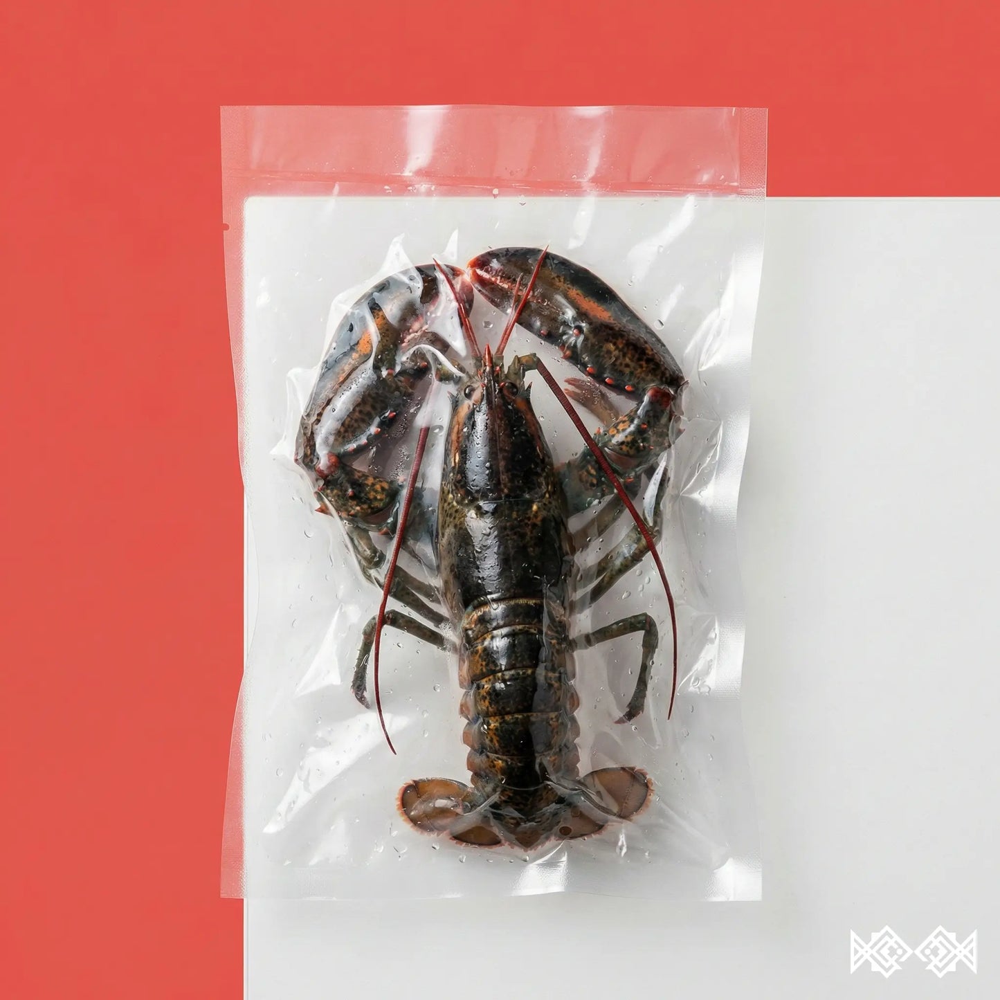 Langosta extra