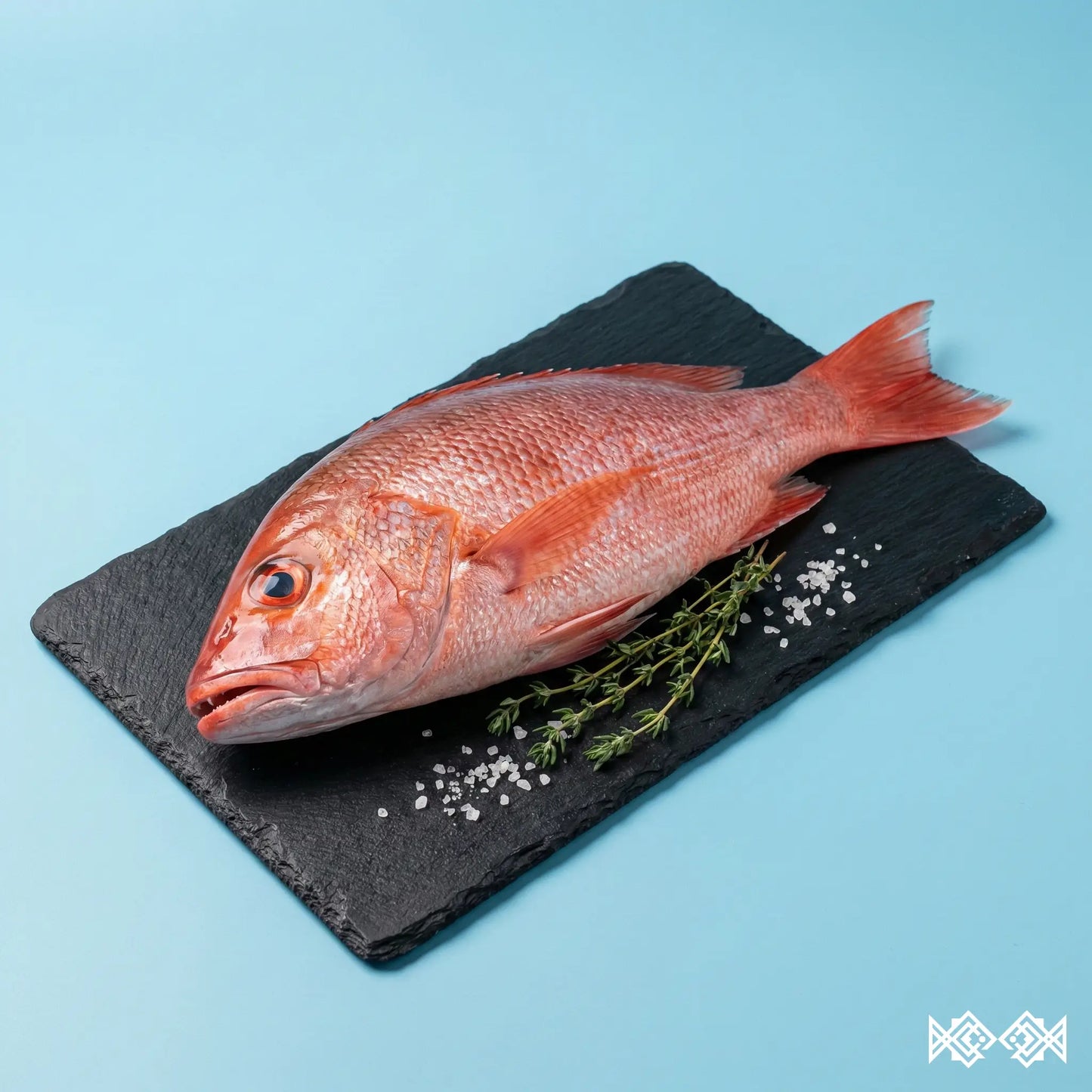Pargo