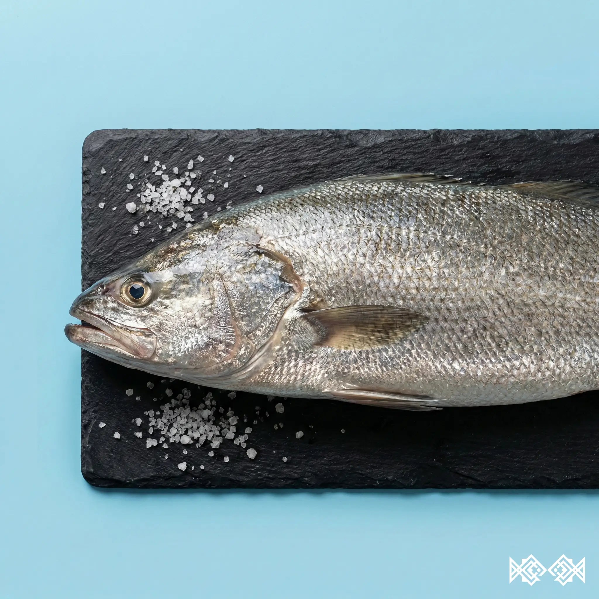 Róbalo